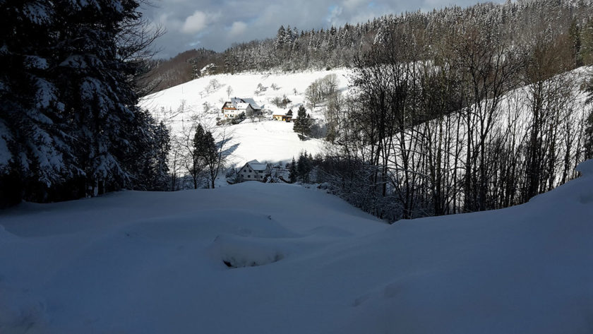 Blick auf den Hornsepp-Hof (ganz unten, gerade im Schatten)