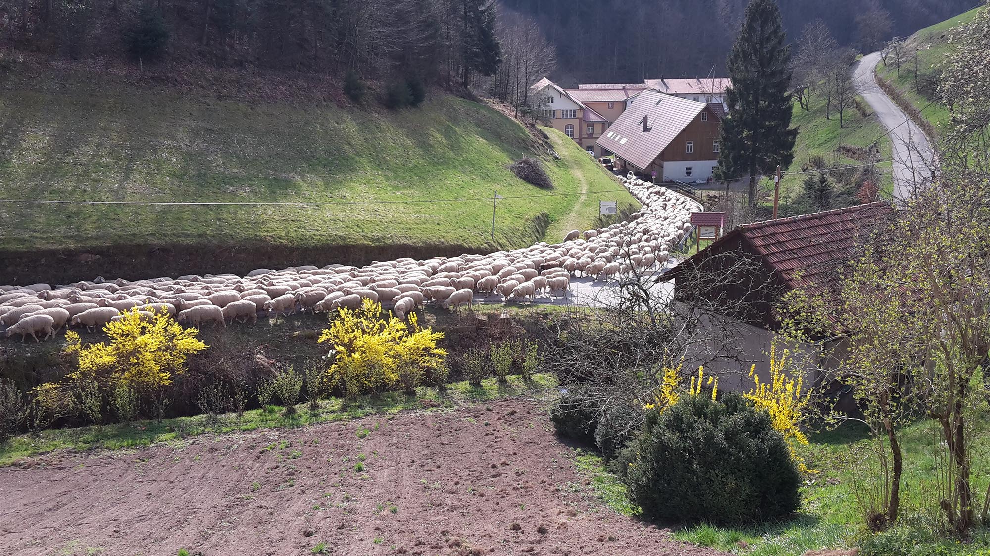 Unsere Tiere