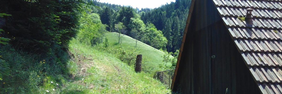 Baum fällt!
