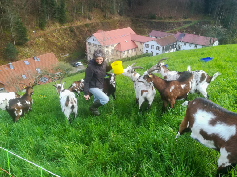 Gutes neues (Früh)Jahr!